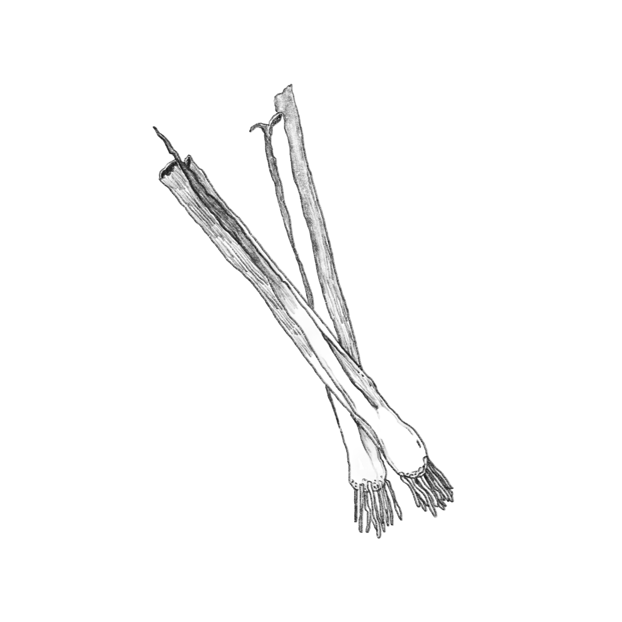 archiveassets